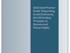 GeSI UN Guiding Principles Good Practice Guide 2017